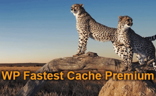 WP Fastest Cache Premium v1.7.4