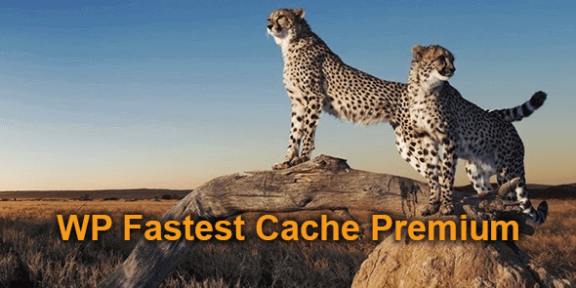 WP Fastest Cache Premium v1.7.4