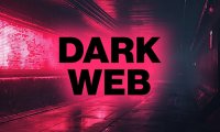 网络安全解析：你的数据是如何流入暗网的？